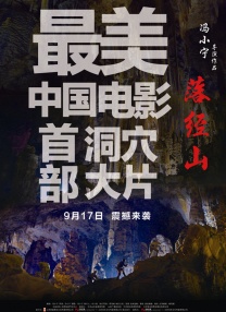 全集免费观看超清