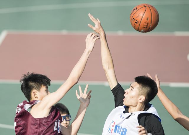 完结高清影视