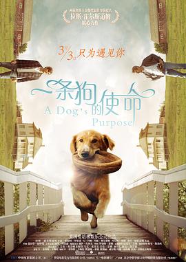 1080P高清完整版播放