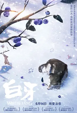 HD手机免费观看完整