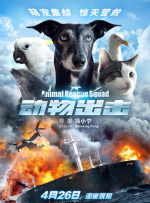 BD高清免费观看