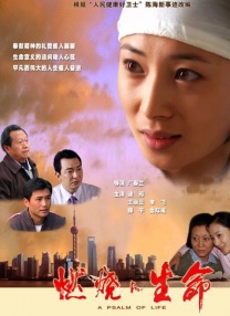 全集免费观看超清