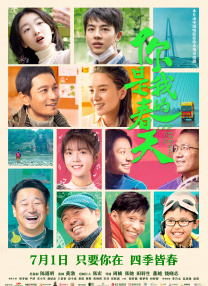 全集免费观看超清