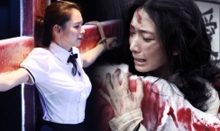 BD国语全集免费观看
