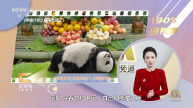 影片发布一组角色剧照，并同步曝光演员阵容，在杭州的湖光山色中，正上演这场关于“爱和美味”的温暖故事。